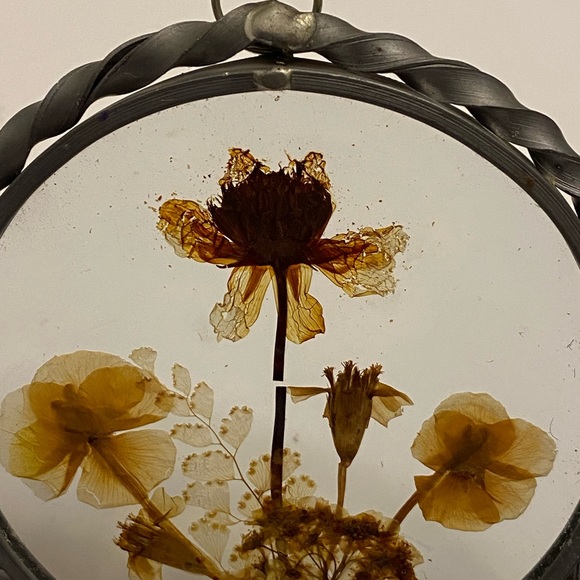 Vintage Pressed Dry Flowers in Twisted Pewter & Double Round Glass Frame 4 1/2” - Picture 6 of 8